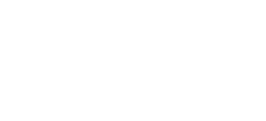 VSTE